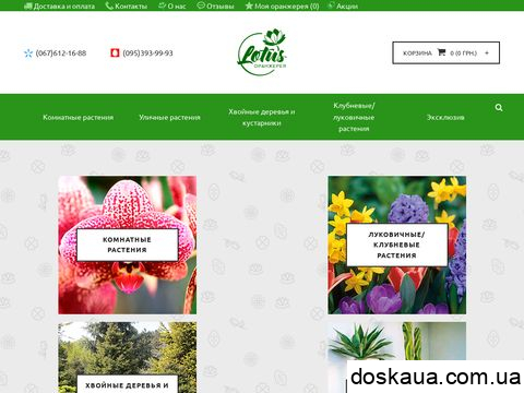 lotus.net.ua отзывы